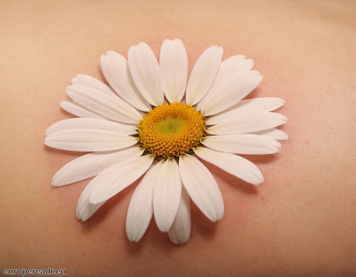 Beliebtes Motiv in der Tattoo-Kultur - Gänseblümchen Tattoo Bedeutung » Unschuld und Reinheit