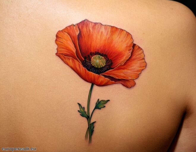 Mohnblume Tattoo Bedeutung » Trost und Frieden