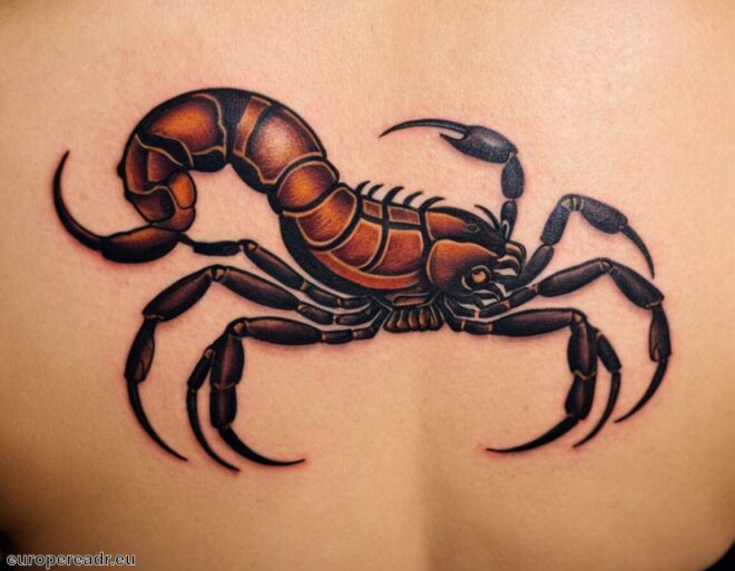 Skorpion Tattoo Bedeutung » Stärke und Beständigkeit