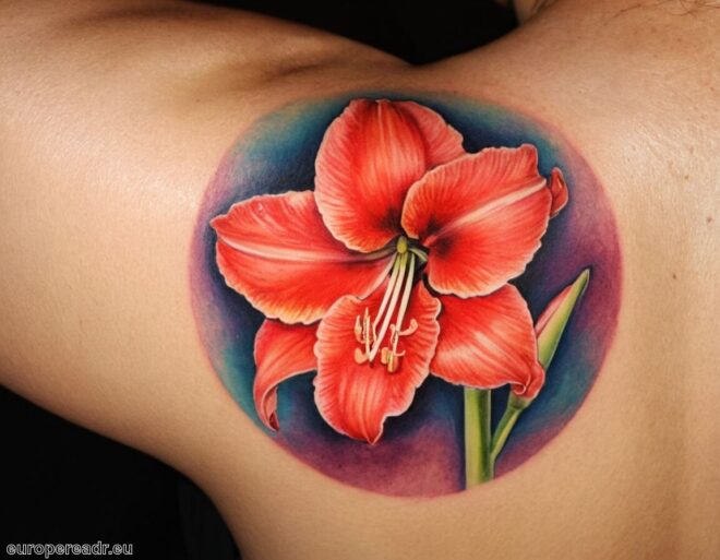 Amaryllis Tattoo Bedeutung » Schönheitsbotschaft