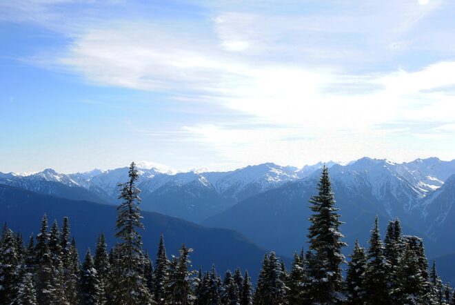 snowy mountains, snow, hiking, olympic national park, olympic mountains, nature, washington