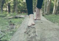 person walking on branch